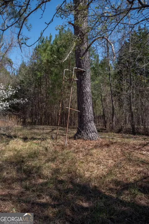 Other - 4153 Wallace Rd, Pine Mountain, GA 31822 photo 7 of 13