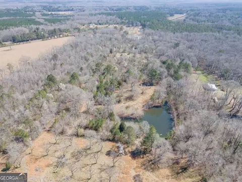 View/Area - 4153 Wallace Rd, Pine Mountain, GA 31822 photo 9 of 12