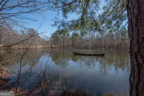 View/Area - 4153 Wallace Rd, Pine Mountain, GA 31822 photo 2 of 12