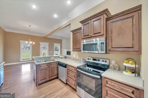 247 Will Way, Byron, GA 31008 photo 14