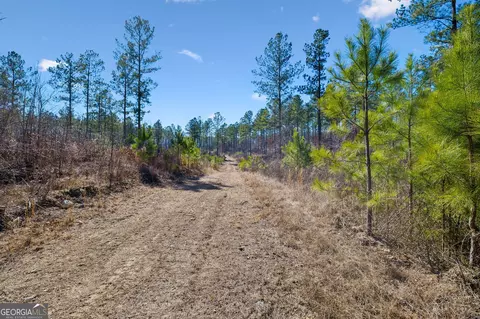 0 Sam Harris Rd, Rome, GA 30161 photo 6