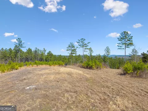 0 Sam Harris Rd, Rome, GA 30161 photo 30