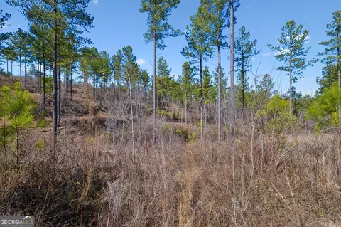 0 Sam Harris Rd, Rome, GA 30161 photo 5
