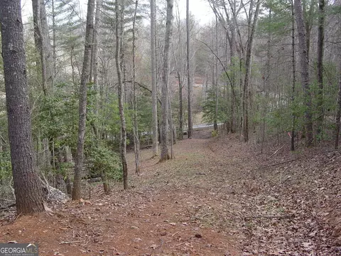 Tract 3 Hf Lyons Road, Hiawassee, GA 30546