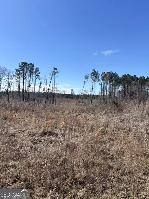 0 Glover Rd, Davisboro, GA 31018