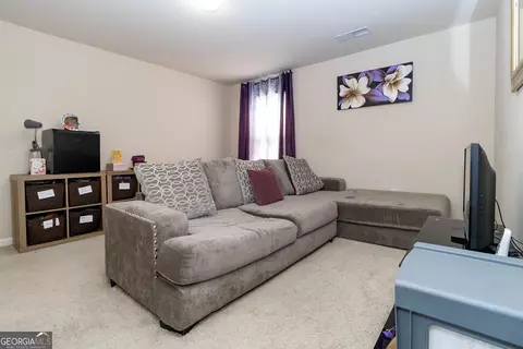 Other - 1127 Lehavre Ct, Hampton, GA 30228 photo 1 of 8