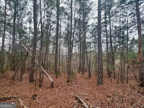 0 Rock Quarry Road Apt 3555 Acres Rd #35.55 ACRES +/-, Yatesville, GA 31097