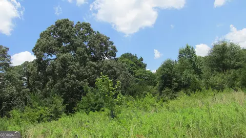 Other - 2018 Ben Johnson Rd, Bethlehem, GA 30620 photo 22 of 22