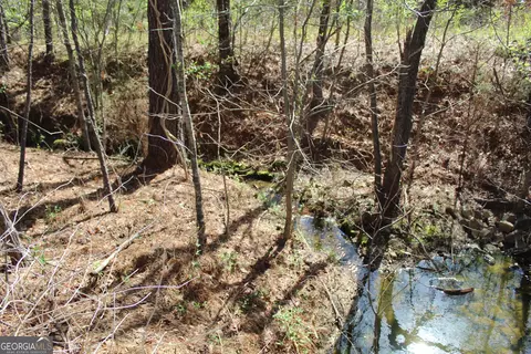 Other - 2018 Ben Johnson Rd, Bethlehem, GA 30620 photo 10 of 22