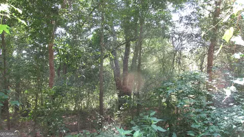 Other - 2018 Ben Johnson Rd, Bethlehem, GA 30620 photo 17 of 22