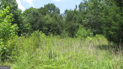 Other - 2018 Ben Johnson Rd, Bethlehem, GA 30620 photo 21 of 22