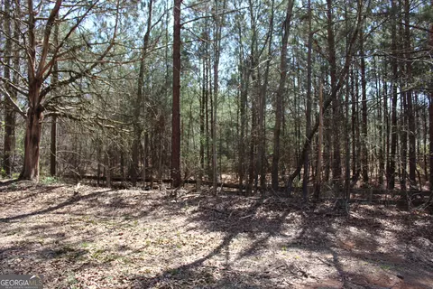 Other - 2018 Ben Johnson Rd, Bethlehem, GA 30620 photo 6 of 22