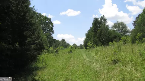 Other - 2018 Ben Johnson Rd, Bethlehem, GA 30620 photo 19 of 22