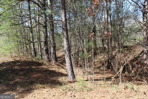 Other - 2018 Ben Johnson Rd, Bethlehem, GA 30620 photo 9 of 22