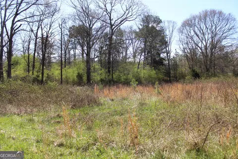 Other - 2018 Ben Johnson Rd, Bethlehem, GA 30620 photo 8 of 22