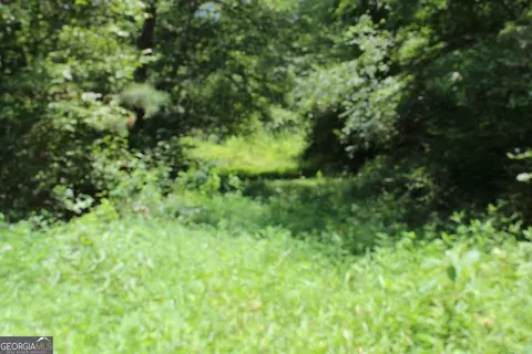 Other - 2018 Ben Johnson Rd, Bethlehem, GA 30620 photo 13 of 22