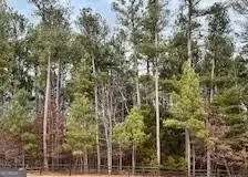 Other - 143 Weatherstone Dr, Central, SC 29630 photo 11 of 11