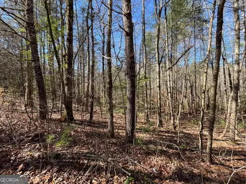 lot269 Cajun Ln, Ellijay, GA 30540