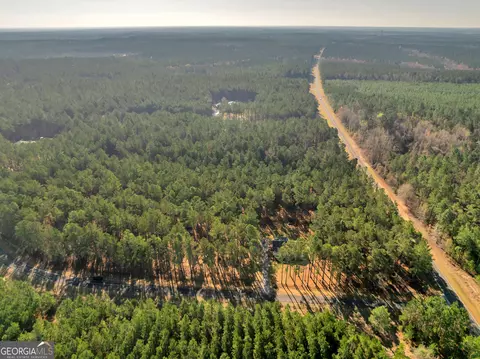 Other - 605 Claire Ln, Dublin, GA 31021 photo 4 of 11