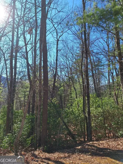 lot10 Moon Shadow, Blairsville, GA 30514