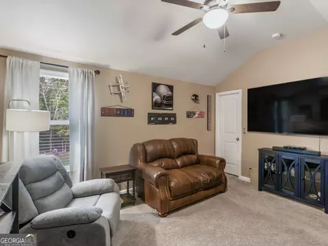 346 M J Mccarthy Way, Hampton, GA 30228 photo 42