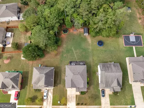 346 M J Mccarthy Way, Hampton, GA 30228 photo 60