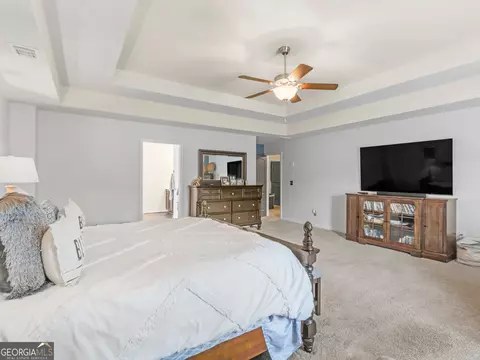346 M J Mccarthy Way, Hampton, GA 30228 photo 37