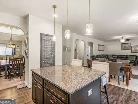 346 M J Mccarthy Way, Hampton, GA 30228 photo 17