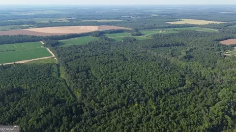 0 County Road 89, Black, AL 36314