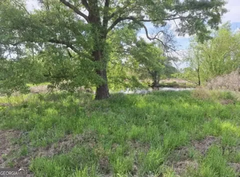 0 W Old Savannah Rd #TRACT 2, Millen, GA 30442