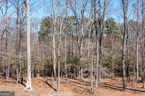 Other - 120 Kettering Trce, Tyrone, GA 30290 photo 34 of 40