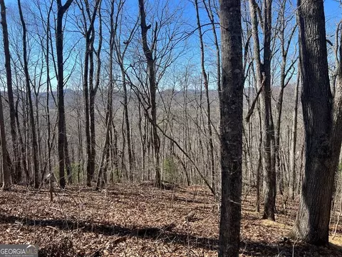 0 Wikle Road Lots 7 8 Add Rd #LOT S 7, 8, ADD., Hayesville, NC 28904