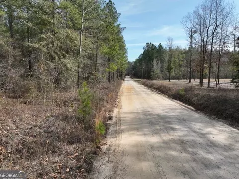 0 Clarks Bridge Rd, Stapleton, GA 30823 photo 4