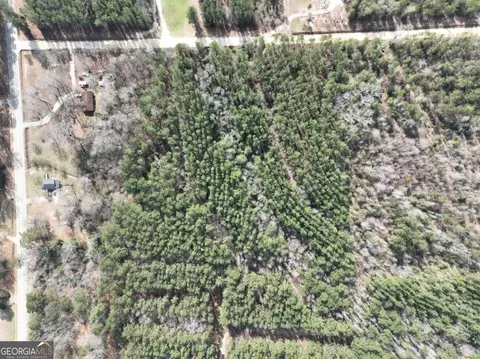 0 Clarks Bridge Rd, Stapleton, GA 30823 photo 2