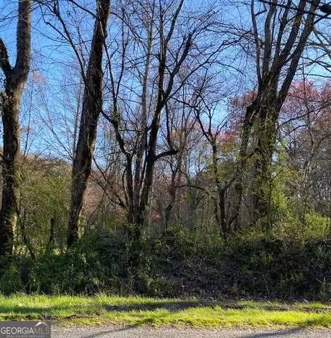 lot5253 54 Yellowbird Trl, Blue Ridge, GA 30513