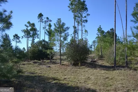 0 Williamson Dr, Hazlehurst, GA 31539