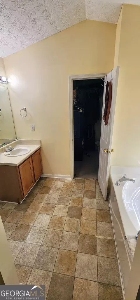 Bath - 194 Goldleaf Dr, Hampton, GA 30228 photo 4 of 5