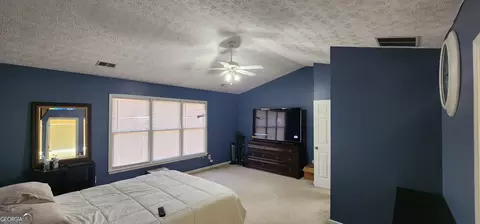 Other - 194 Goldleaf Dr, Hampton, GA 30228 photo 3 of 7