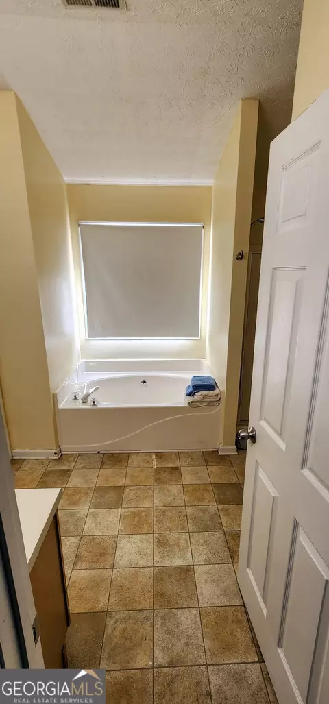 Bath - 194 Goldleaf Dr, Hampton, GA 30228 photo 2 of 5