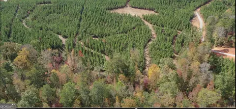 lot8 Cook Rd, Monticello, GA 31064