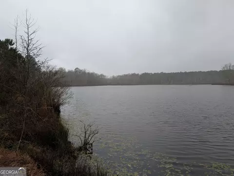 0 Steele Rd, Milner, GA 30257 photo 3