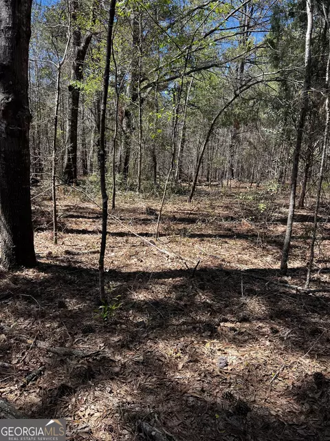 2000 Buckeye Rd, Tennille, GA 31089