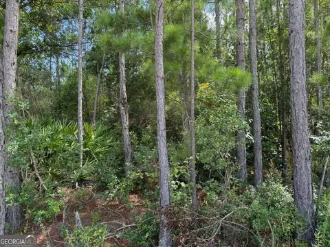0 Foster Steadham, Baxley, GA 31513