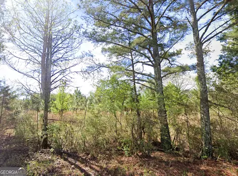 0 W Luke Rd, Temple, GA 30179 photo 2