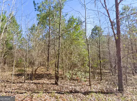 0 W Luke Rd, Temple, GA 30179 photo 4
