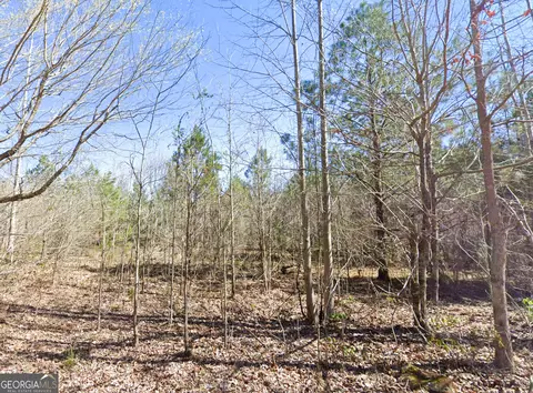 0 W Luke Rd, Temple, GA 30179 photo 6