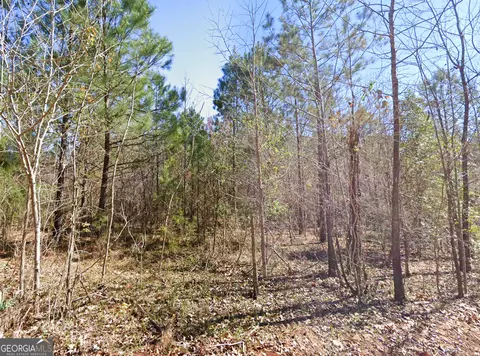 0 W Luke Rd, Temple, GA 30179 photo 3