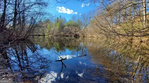 51 Acre Mountain Cove Way #1-8, Cherry Log, GA 30522
