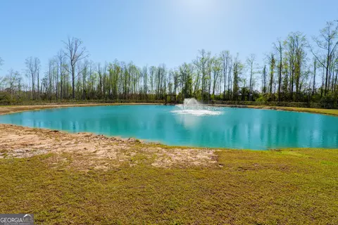 View/Area - 150 Quail Run Cir, Adel, GA 31620 photo 1 of 3
