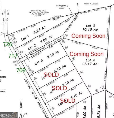 709 Giles Rd, Forsyth, GA 31029 photo 3